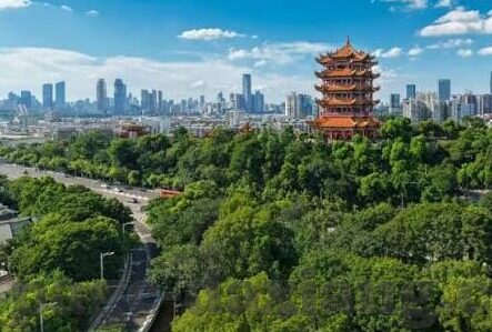 91制片厂 麻豆-91制片厂与麻豆，网络内容行业的多元面貌透视