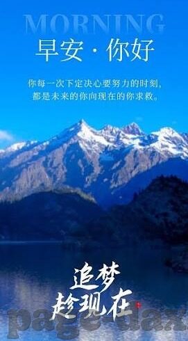 麻豆视频免费在线观看-麻豆视频，解锁免费在线欣赏的多样娱乐体验