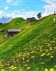 麻豆印象传媒app-麻豆印象传媒APP——多元娱乐新体验的探索