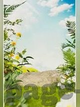 糖心app视频-糖心App视频，当代文化现象的深思与启示
