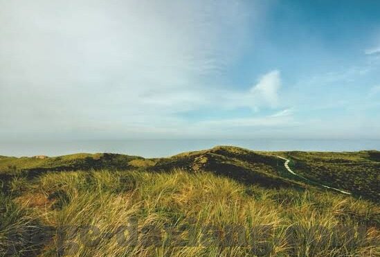 糖心vlog传媒演员-糖心Vlog传媒，解锁演员的新媒体映像