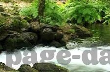 糖心vlog最火的是谁-糖心vlog的热门标杆——解析网红张糖蜜的崛起之路